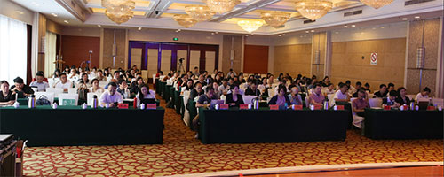 1733119876822815.jpg y-1.jpg