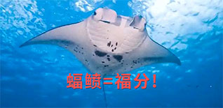 為(wèi)科(kē)學(xué)而忙，是我們的福分(fēn)——上海市中(zhōng)小(xiǎo)學(xué)數字化實驗系統研發中(zhōng)心的2024